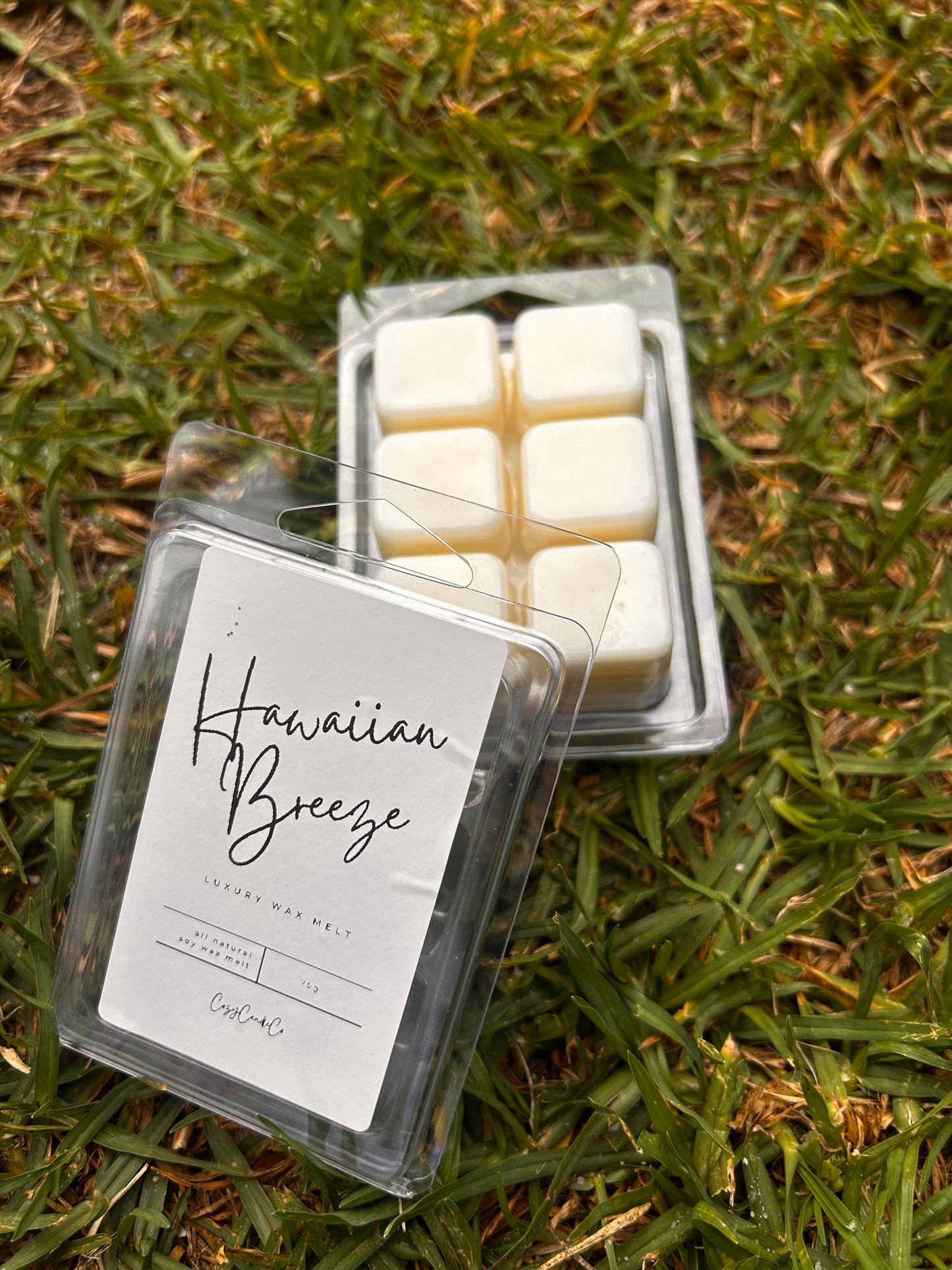 Hawaiian Breeze Wax Melt