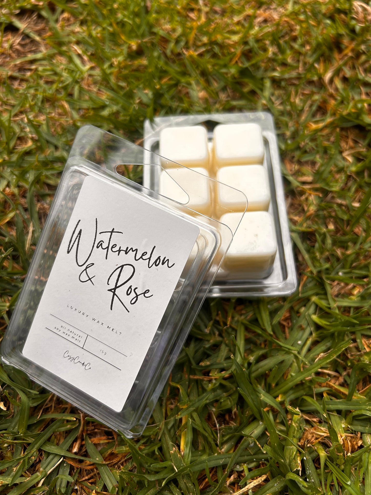 Watermelon & Rose Wax Melt