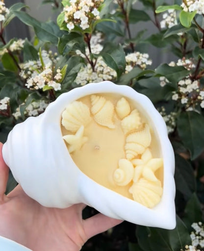 Shell Candle