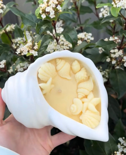 Shell Candle