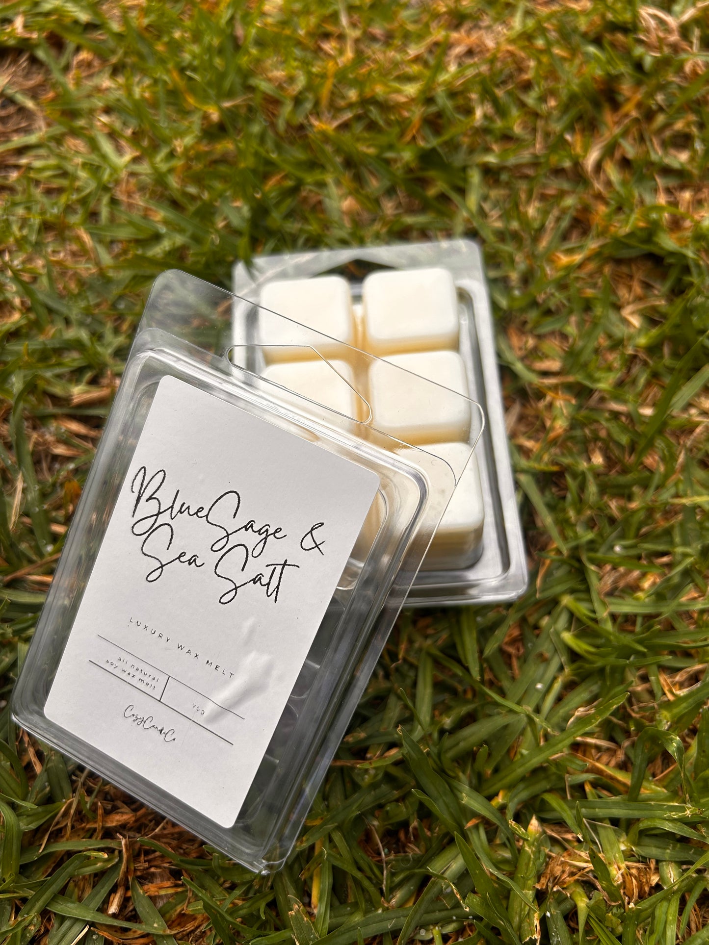 Blue Sage & Sea Salt Wax Melt