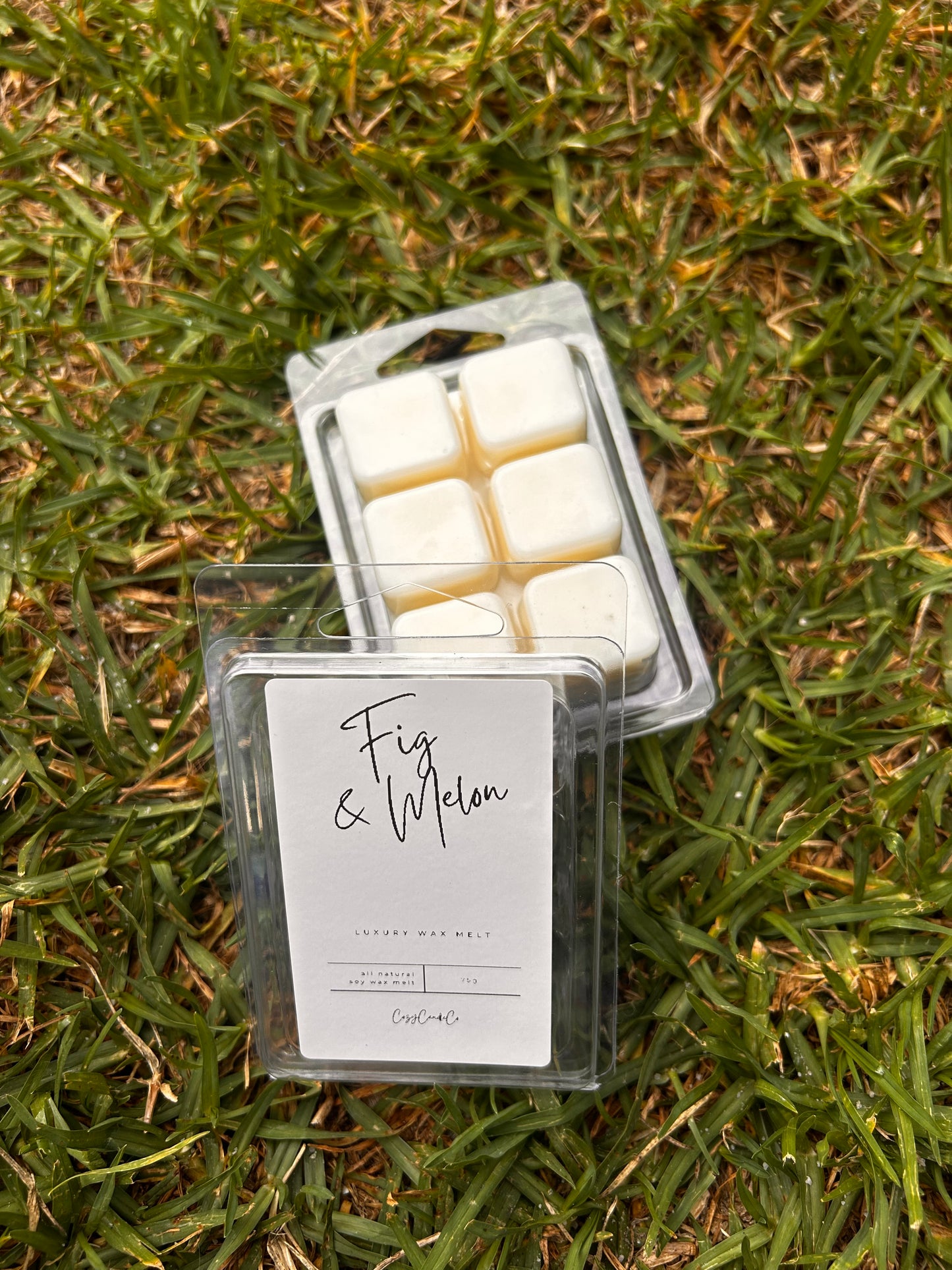 Fig & Melon Wax Melt